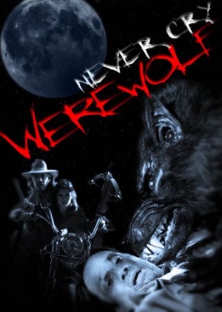  / Never Cry Werewolf (2008)