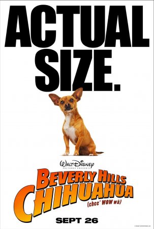   - / Beverly Hills Chihuahua (2008)