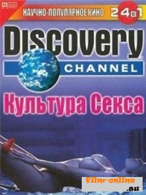 Discovery:   (2008)