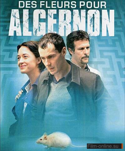    / Des fleurs pour Algernon (2006)