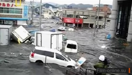   :   / Witness: Disaster In Japan (2011)