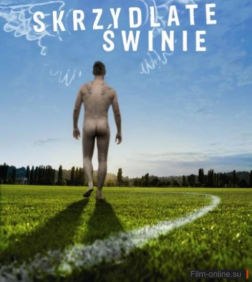   / Skrzydlate swinie (2010)