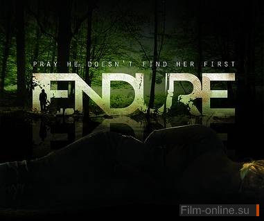  / Endure (2010)