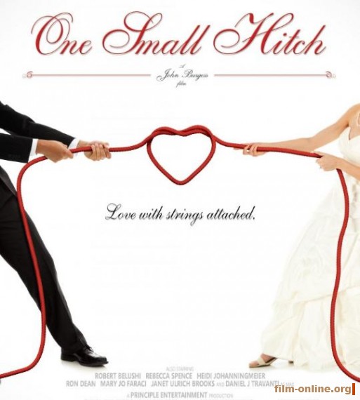   / One Small Hitch (2013)