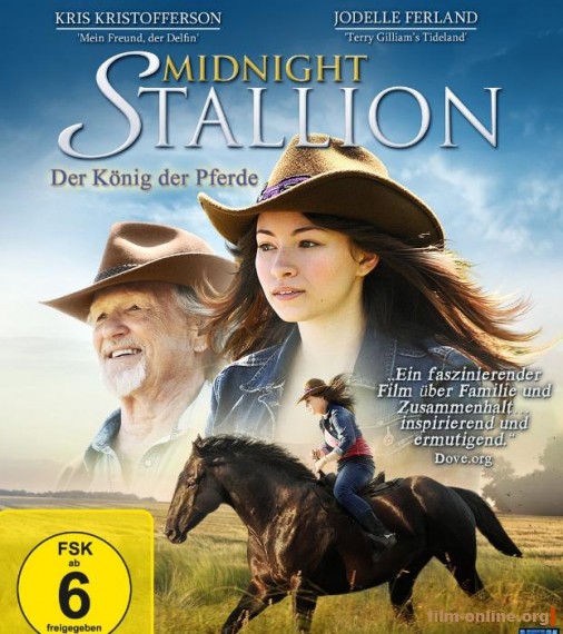  / Midnight Stallion (2013)
