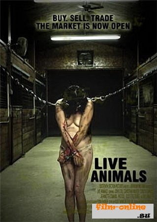   / Live Animals (2008)
