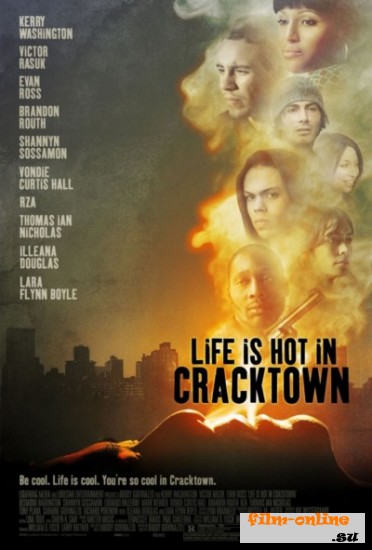     / Life Is Hot in Cracktown (2009)
