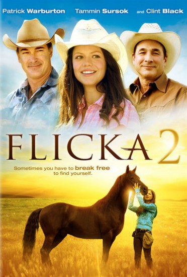  2 / Flicka 2 (2010)