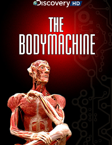 Discovery:   / The Body Machine (2010)