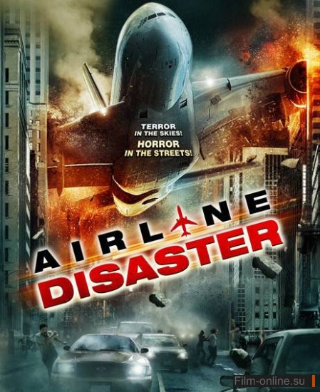  (  ) / Airline Disaster (2010)