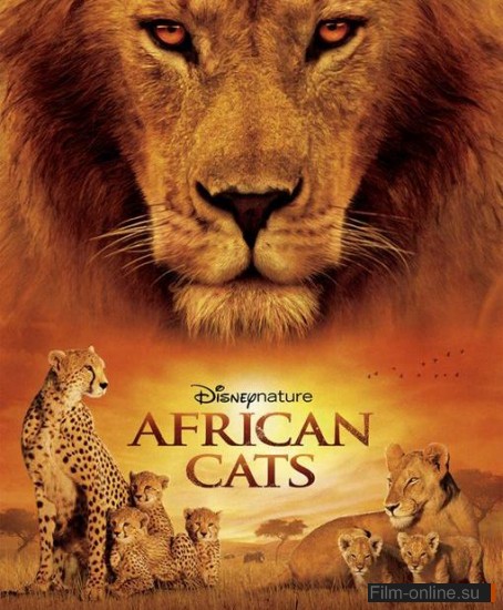  :   / African Cats (2011)