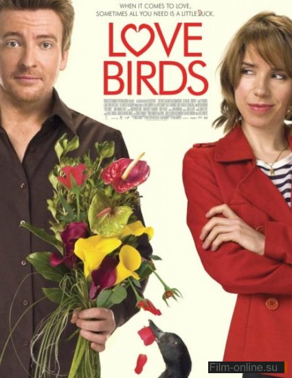   / Love Birds (2011)